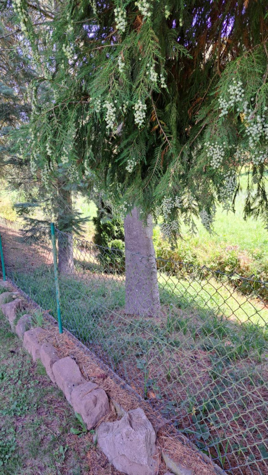 Erlenbach  Ferienwohnung In Der Gruenheck מראה חיצוני תמונה
