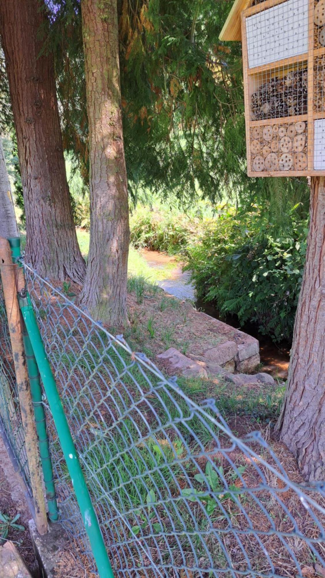 Erlenbach  Ferienwohnung In Der Gruenheck מראה חיצוני תמונה